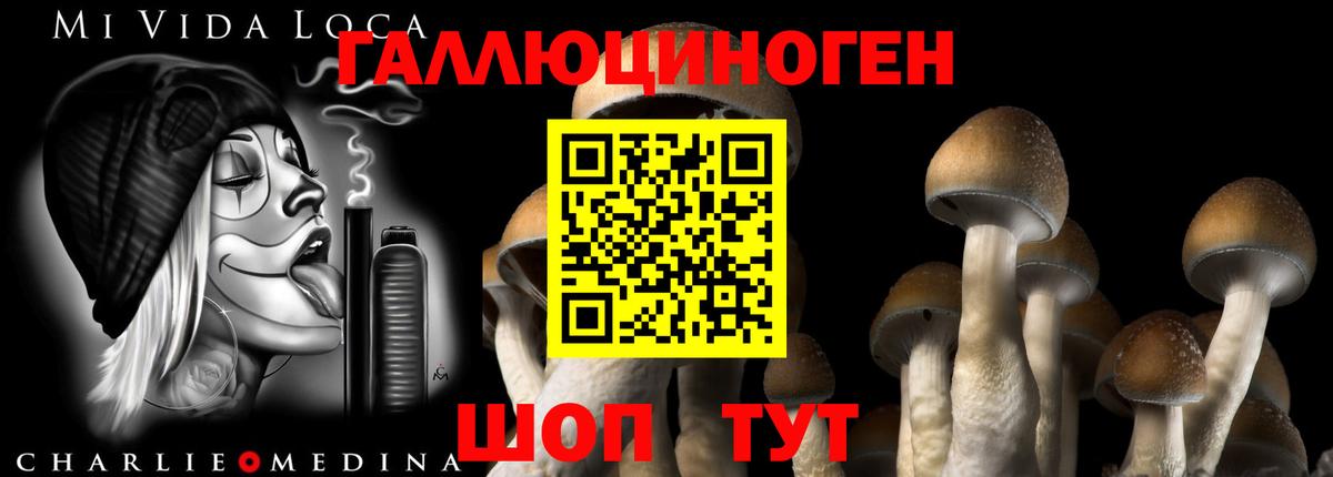 Чита  Псилоцибиновые грибы Psilocybine cubensis  Вход с VPN  Псилоцибиновые грибы ЛСД 