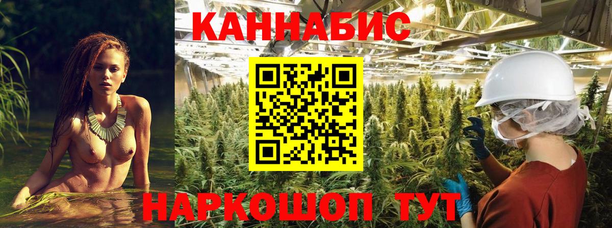 Каннабис Bruce Banner  Марихуана семена  Марихуана план  Каннабис ГИДРОПОН  Чита  Вход с VPN 